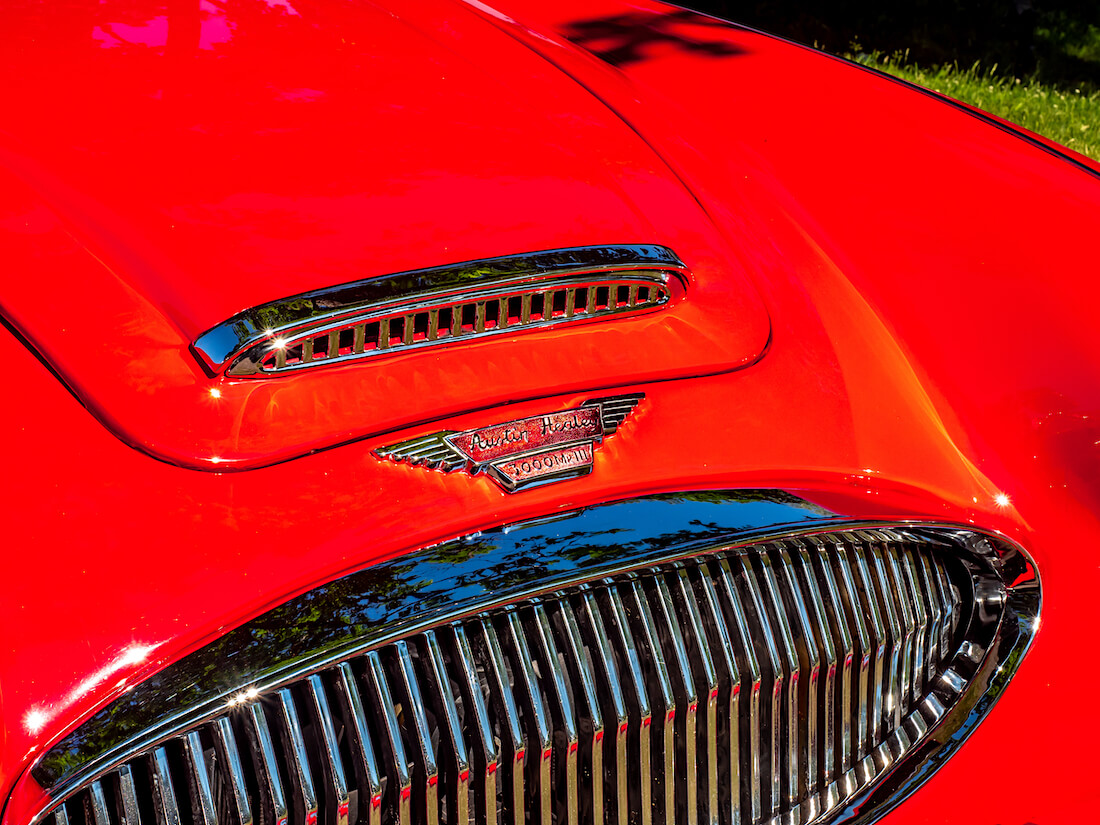 1964 Austin-Healey 3000 Mk3 keulamerkki