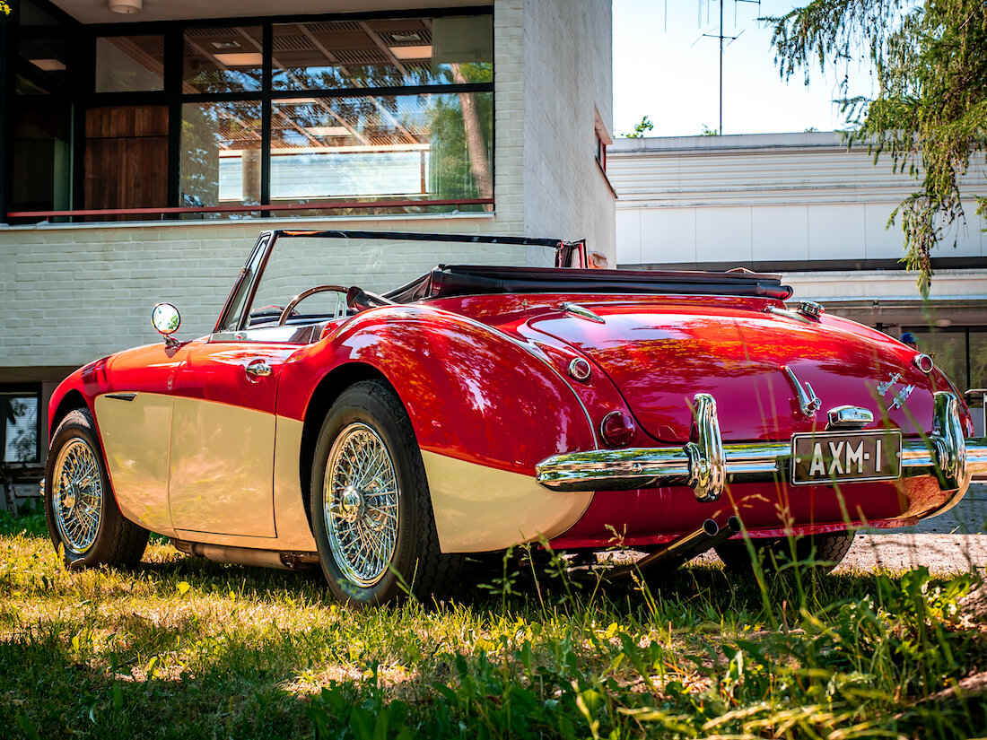 Punavalkoinen 1964 Austin-Healey 3000 Mk3 Gustavelundin pihalla