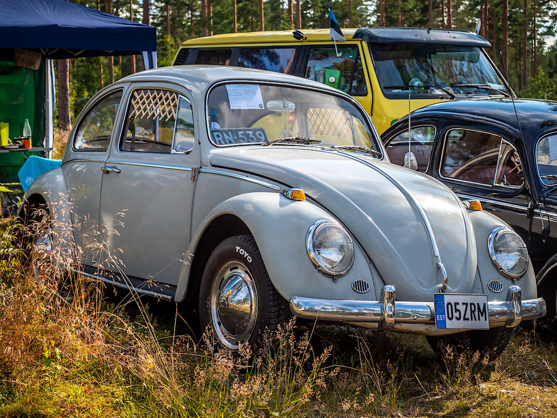 Harmaa 1965 Volkswagen 1200 kupla leirintäalueella