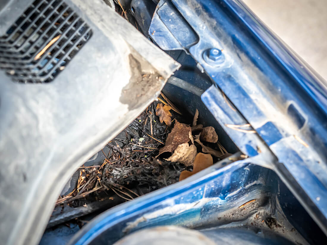 Lehtiä ja roskia kaukalossa tulipellin päällä Opel Astra G:ssä